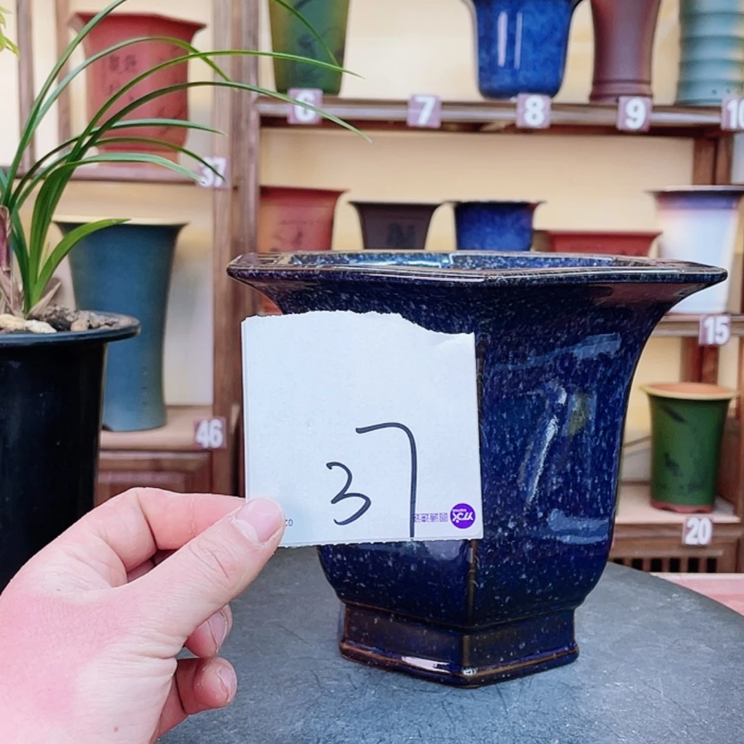 【闪购商品】紫砂花盆?****里兰花643464848484964646