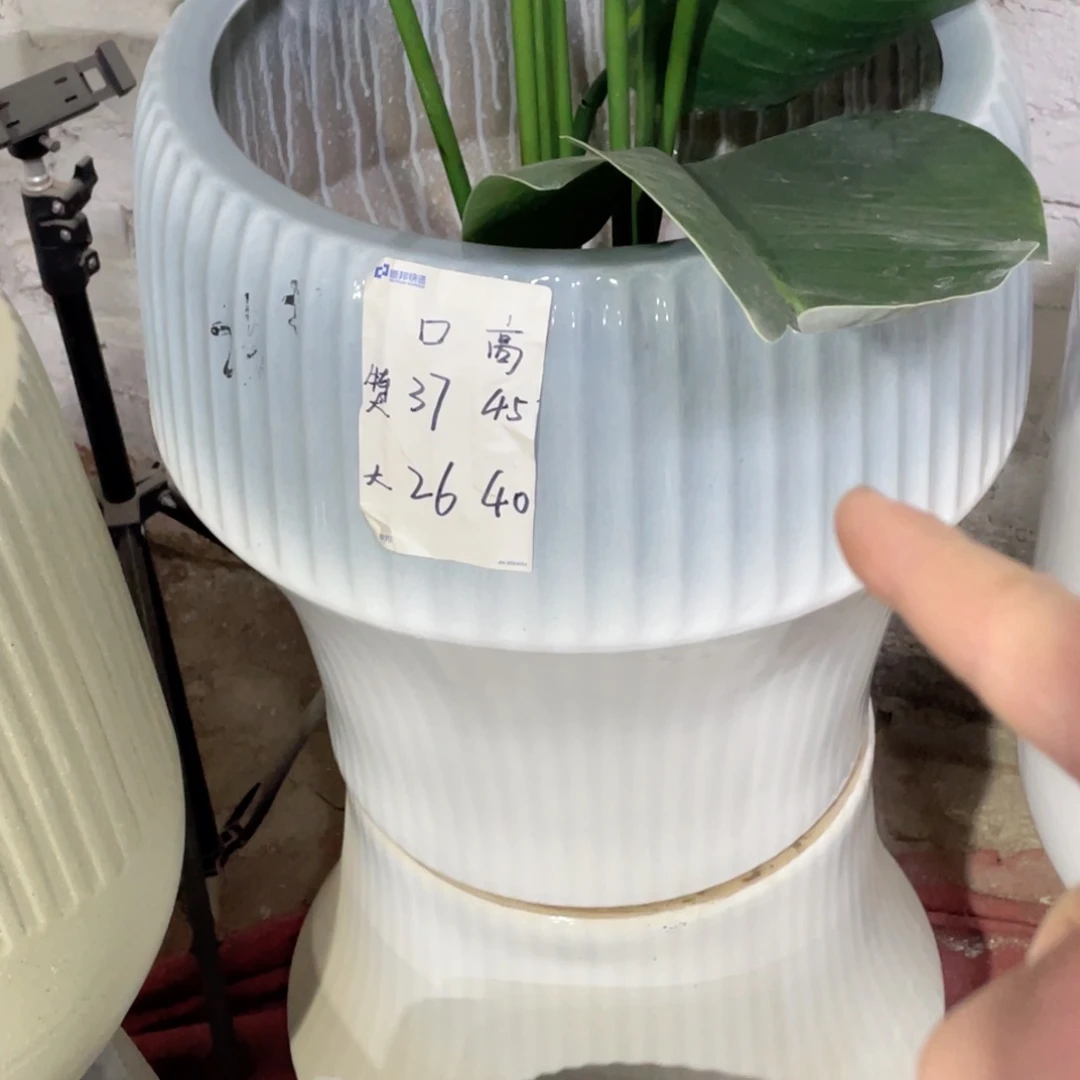 蘑菇款特大号蓝口捡漏花盆