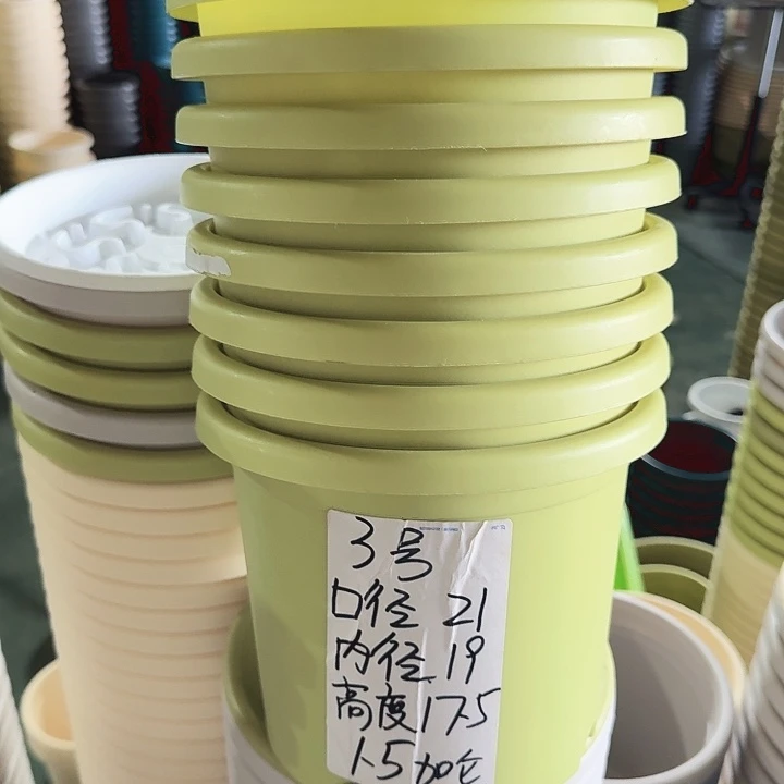 四季3#果绿10个无托