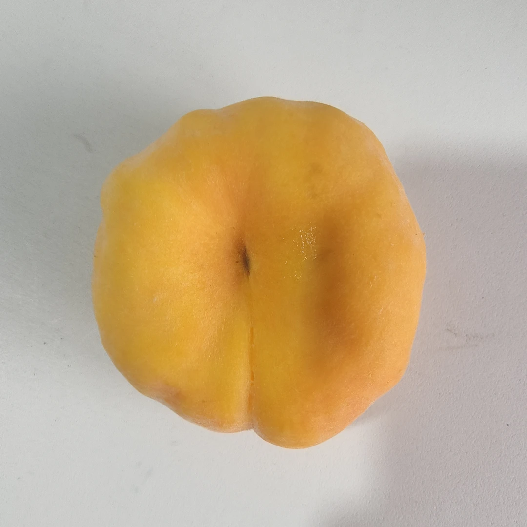 【丫吉】(绿色食品认证)平谷黄毛蟠桃脆甜新鲜采摘