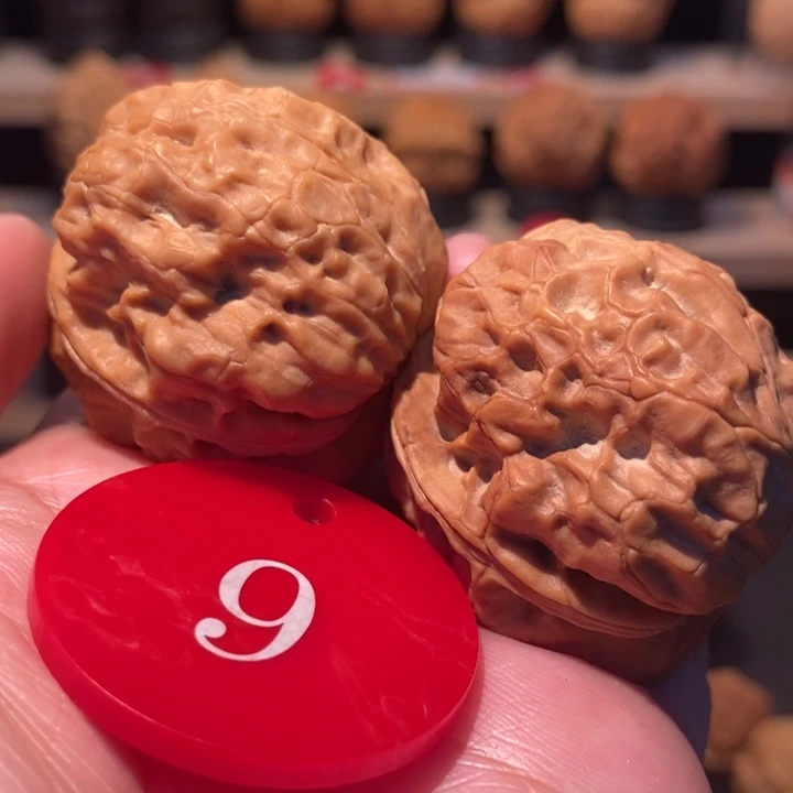 木质类鬼谷蟾王42尺寸