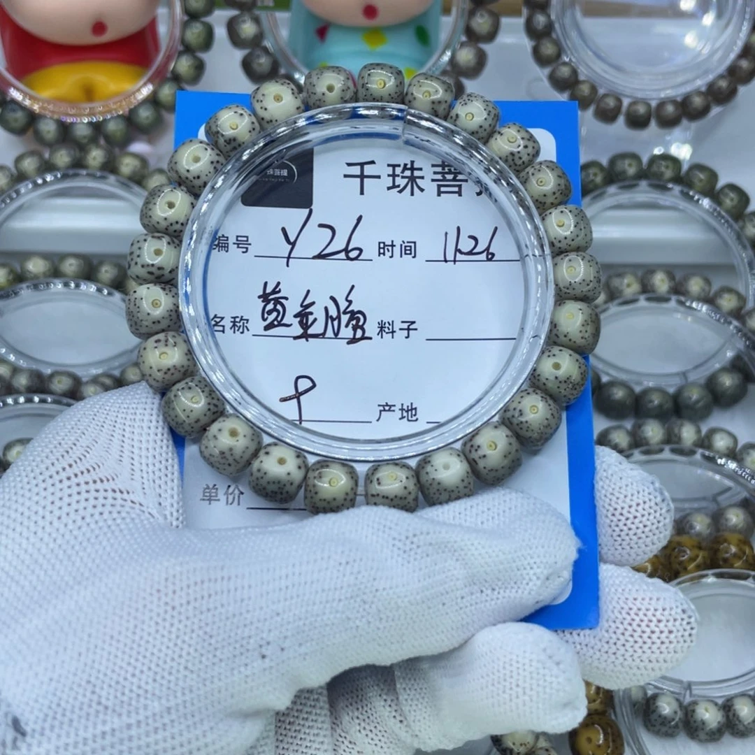 菩提籽类Y26黄金瞳