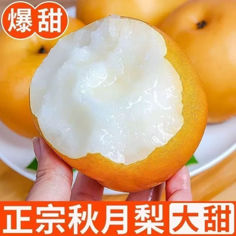 【正宗秋月梨】顺丰包邮砀山产地直发当季新鲜水果脆甜多汁细嫩化渣