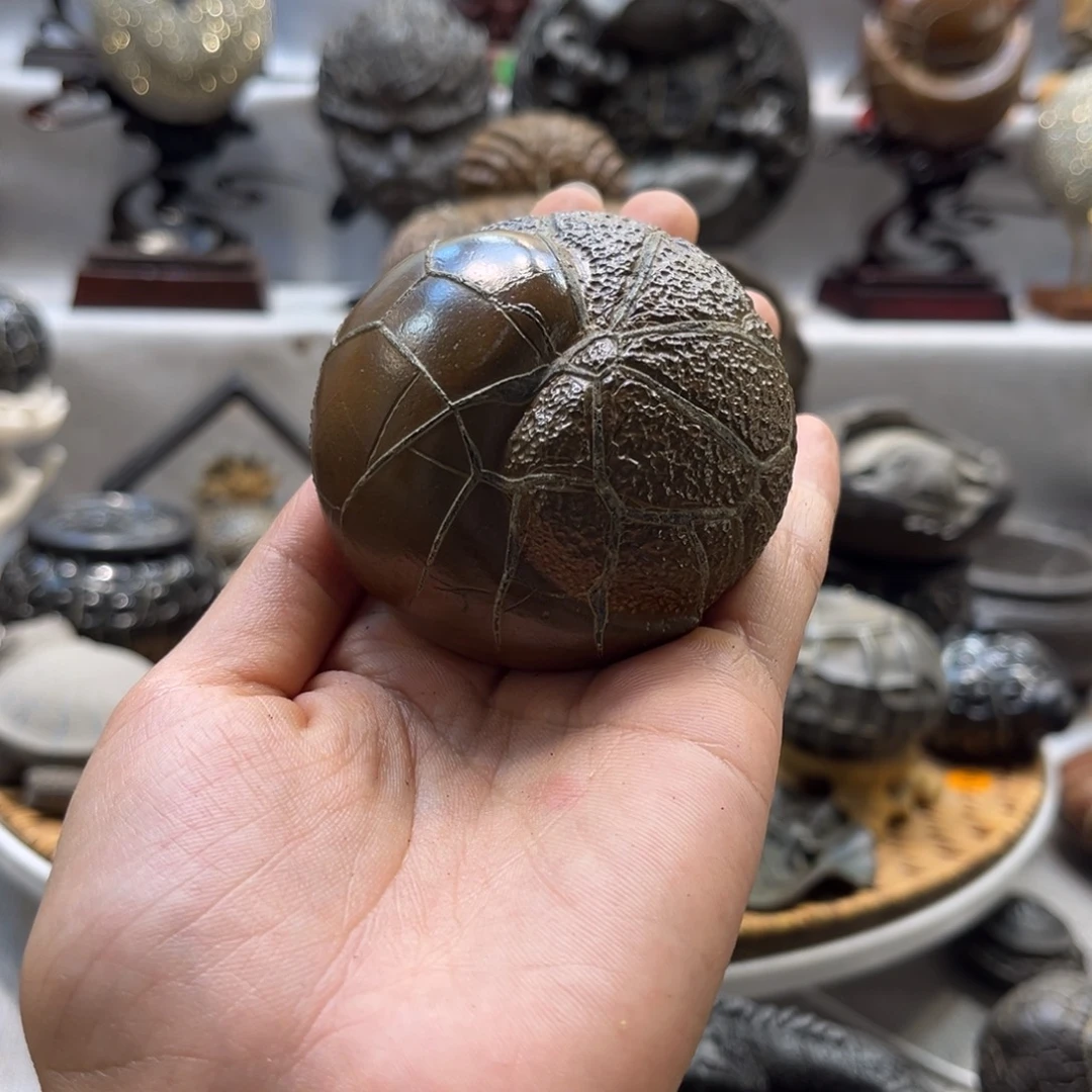 石***长石材龟纹石小精品