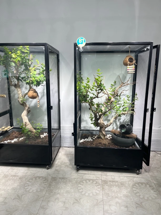 大号流水款生态鸟笼