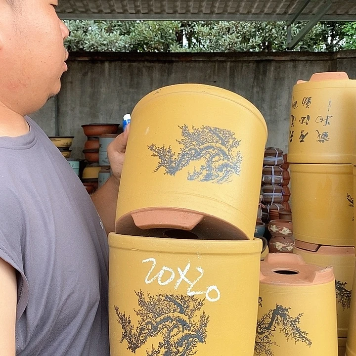 紫砂花盆紫砂花盆盆栽植物花卉苗木种植