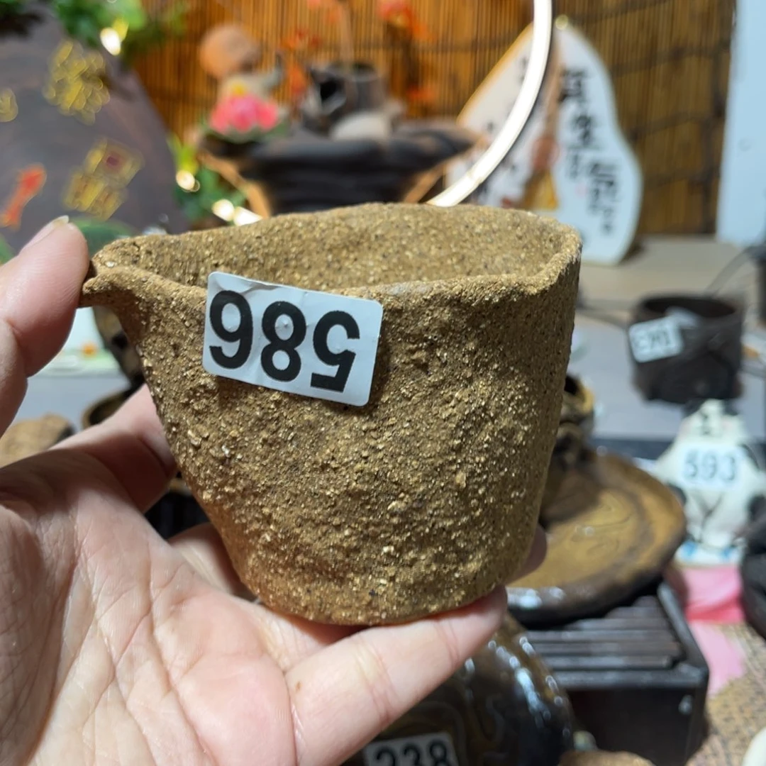 木村信弘柴烧保平