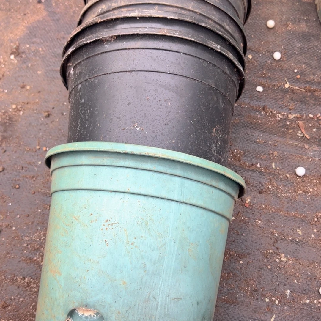 加仑盆组合套装18-20口径8个