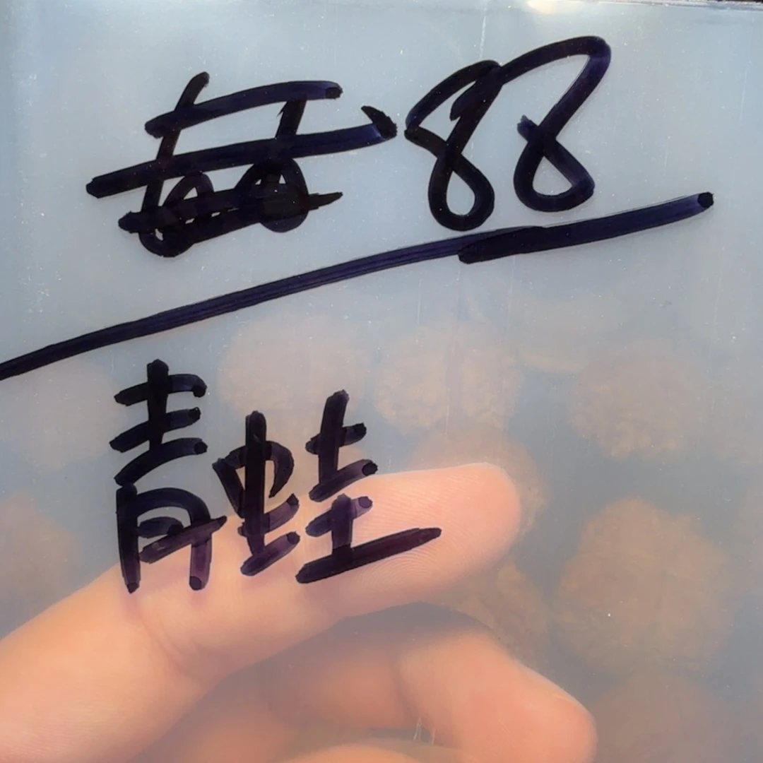 文玩核桃吊坠蛤蟆头