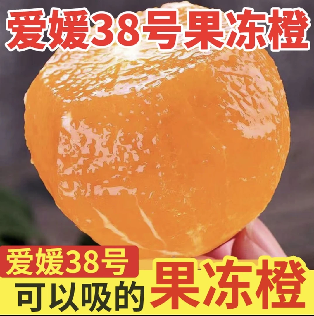 F【精品】爱媛果冻橙新鲜采摘橙子爱媛38号四川核心产区