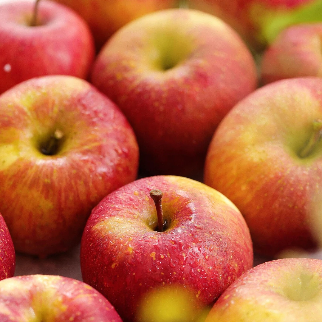 丽江雪山高原生态珍蜜丑苹果 甜脆可口 香甜化渣 5斤装包邮