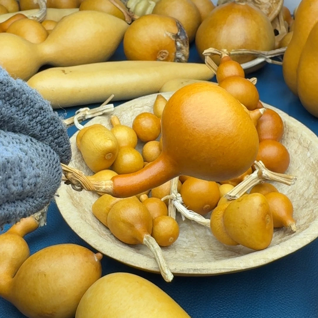 你***啊葫芦葫芦葫芦葫芦葫芦