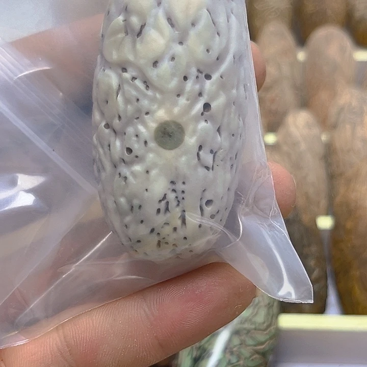 千眼菩提吊坠千眼菩提特殊纹