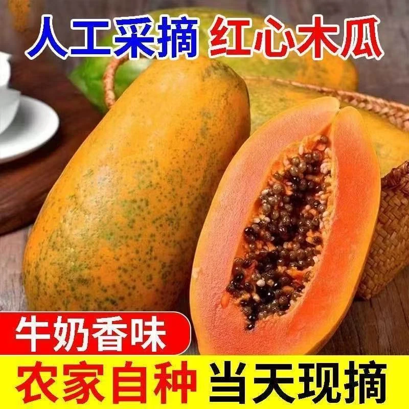 广西正宗冰糖心红心牛奶木瓜新鲜当季水果香甜多汁细腻软糯