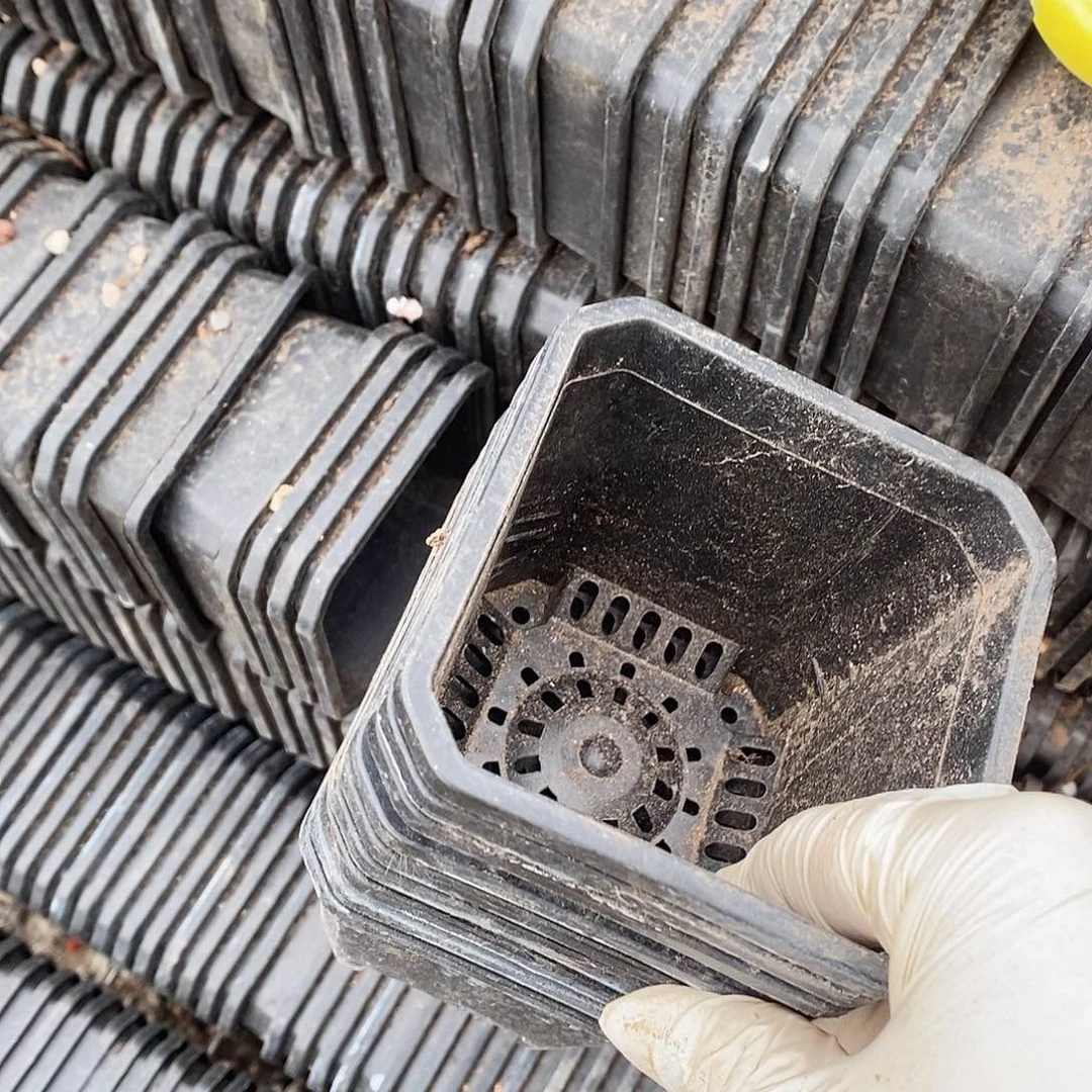 塑料旧9 公分黑方盆 50个