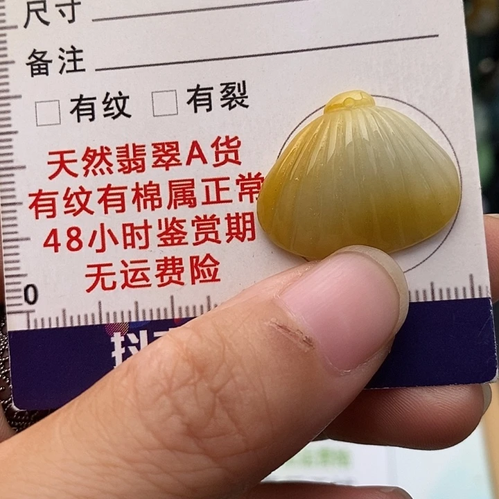 颈饰未镶嵌翡翠福贝