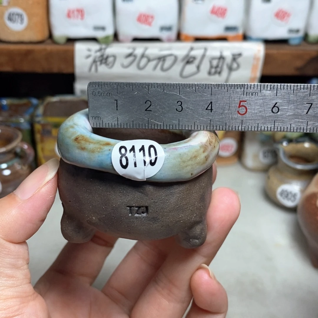 拍3送一个小礼物