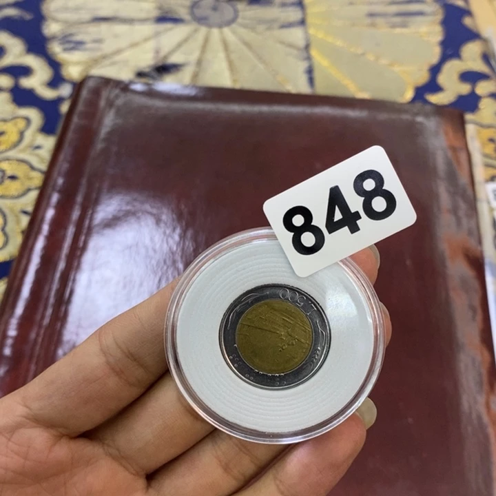 普通金属币哦哦哦哦哦哦哦