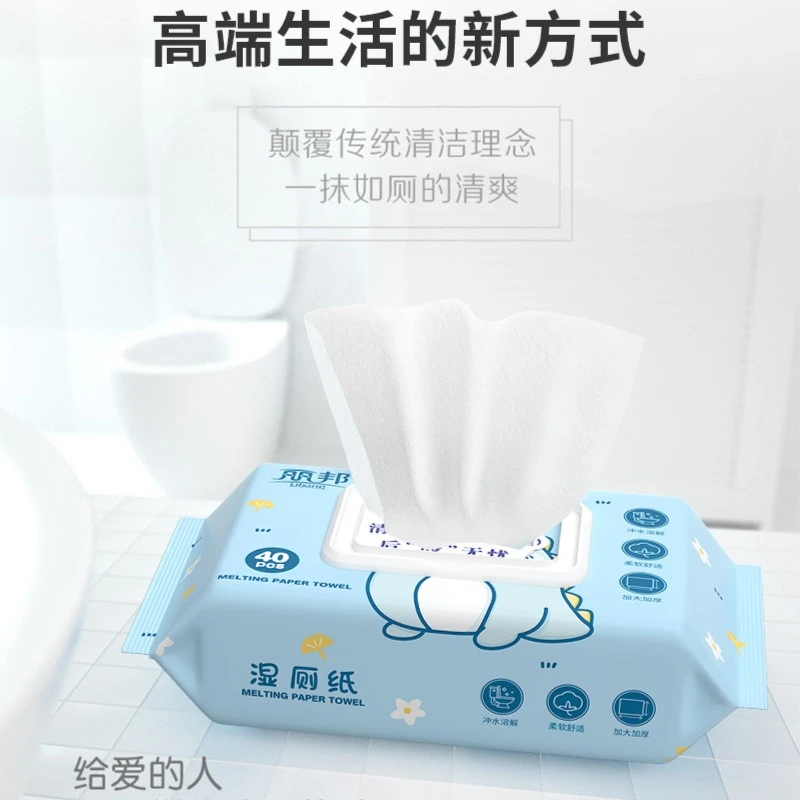 丽邦湿厕纸40片便携卫生湿纸巾加大加厚清洁家用柔软溶解纸巾