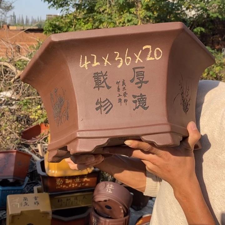 花盆紫砂紫砂特价包邮送