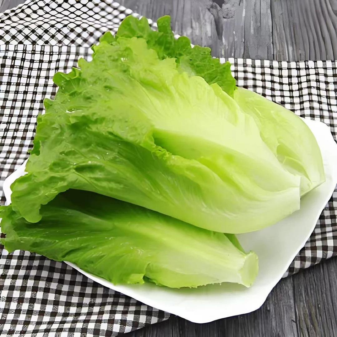 罗马生菜约250g【星火集市】生菜