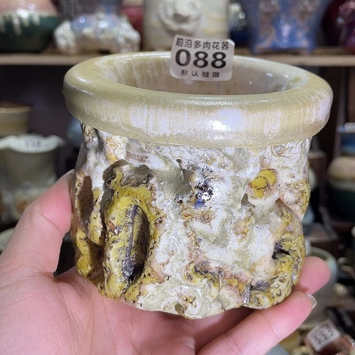 狼盆内口径8高度8