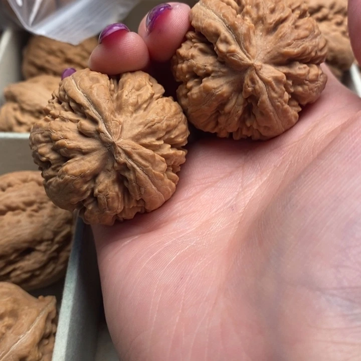 李***韬手串文玩核桃霸王龙