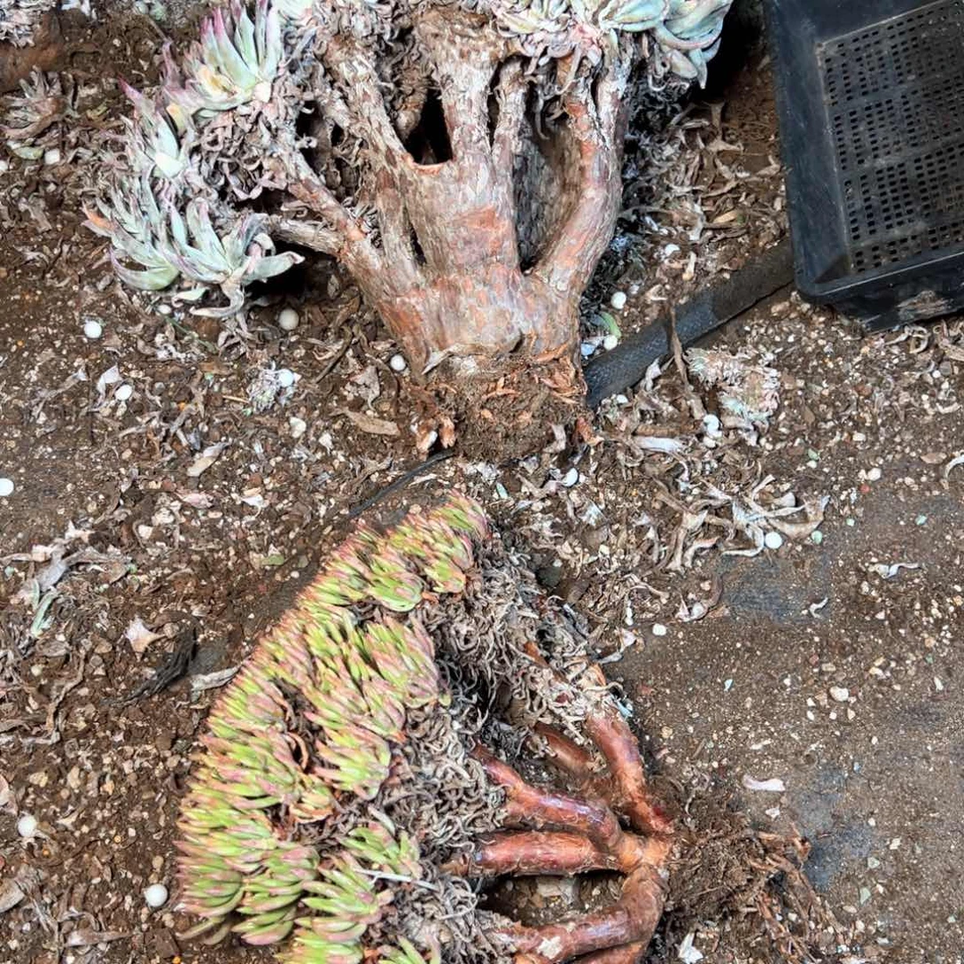 5513哈哈哈哈哈哈哈哈哈