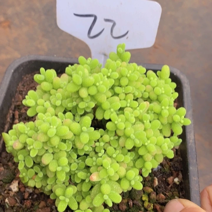 这个点睡起来都还