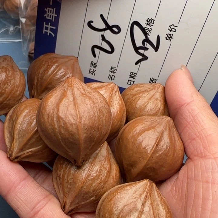 白***万橄榄核手串橄榄核