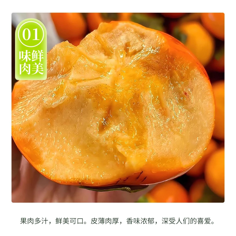 正宗阳丰巧克力水果冰糖心脆柿甜脆多汁应季新鲜水果柿子甘甜好吃