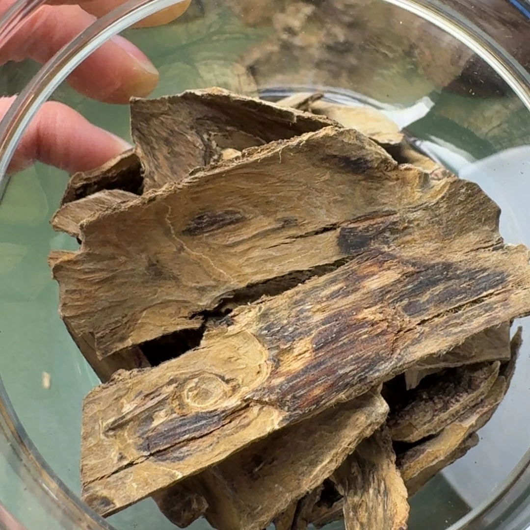 沉香手把件励*林海南天然野虎斑棋高端皮油老香块料27克