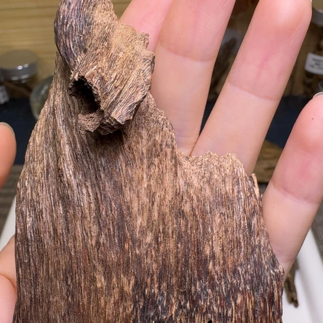 香榧木海南大山虫漏香22克