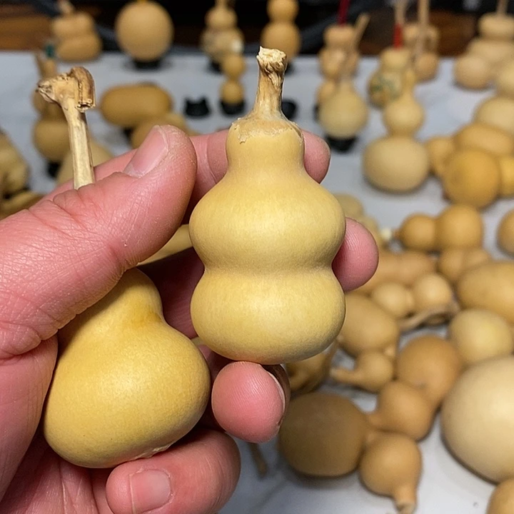 r****湿精品葫芦手把葫芦17