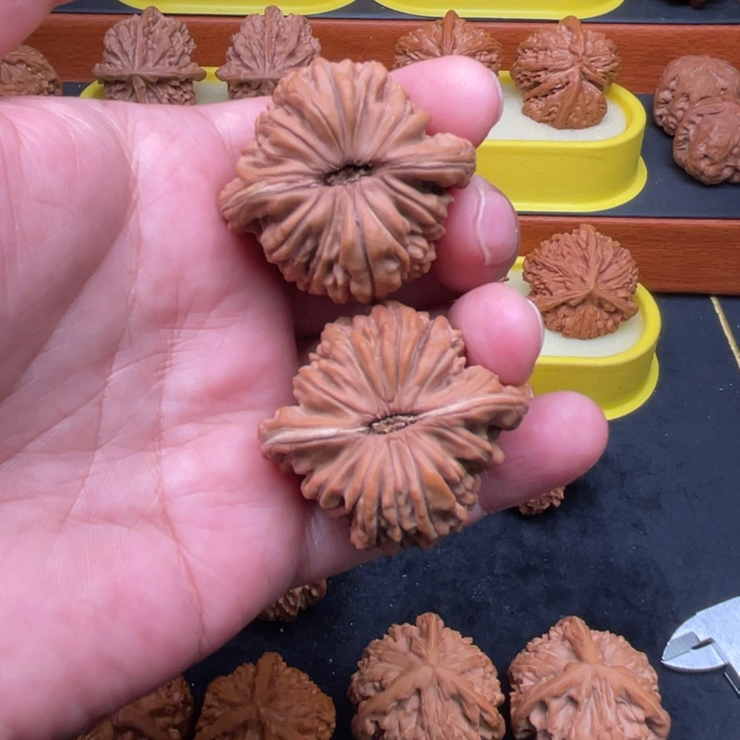 核桃手串/手链楼子43全品