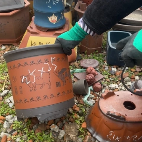 紫砂花盆紫砂花盆盆景盆栽