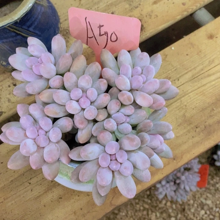 这个点睡起来都会梦