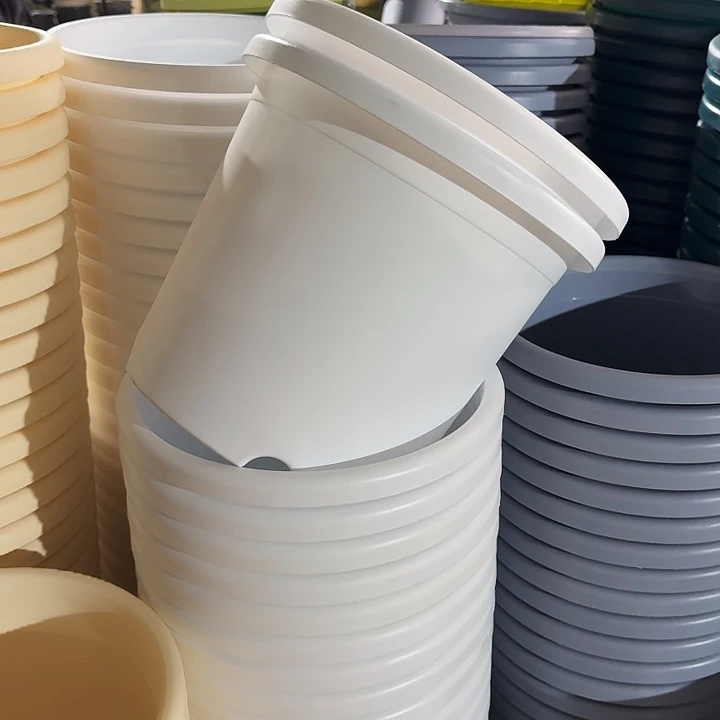 四季5#口径29白色10个无托