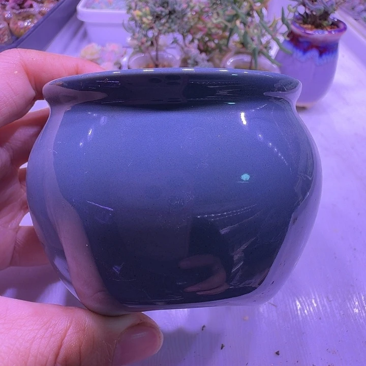 盆13，胡巴盆，多肉盆闲置处理福利出！
