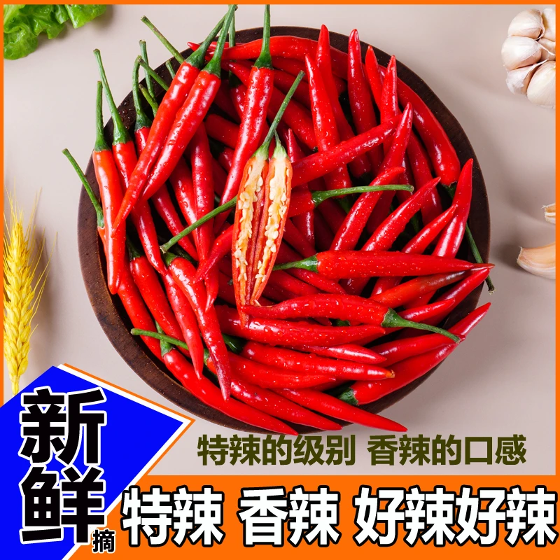 高山种植新鲜现摘特辣小米椒餐饮蔬菜批发朝天椒红辣椒泡椒剁辣椒
