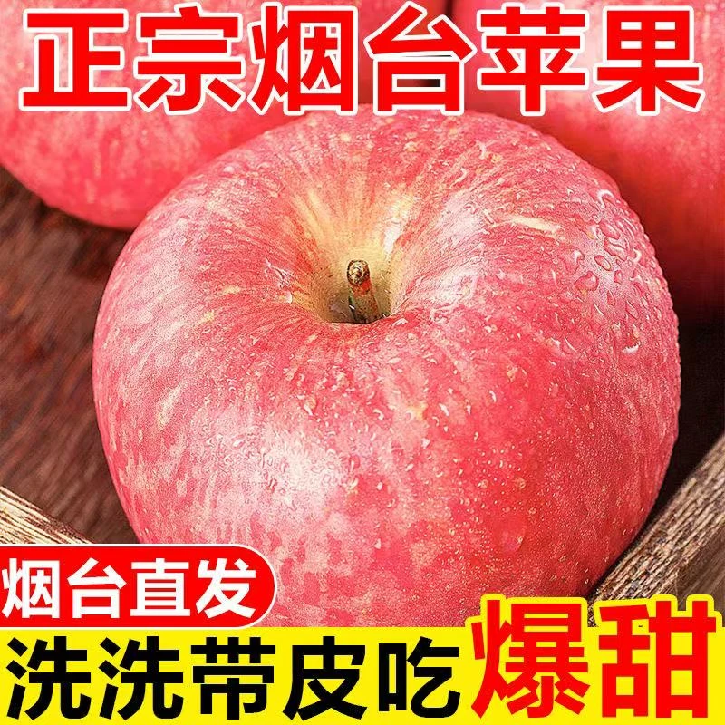 山东烟台红富士苹果新鲜苹果现摘先发脆甜多汁应季水果产地直发S1