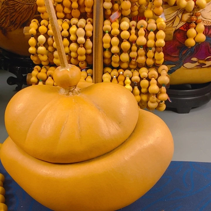 摄***于206啊啊啊啊啊啊啊啊