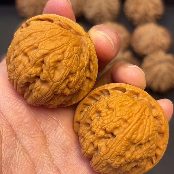 核桃秦岭突突突突突突突突突16