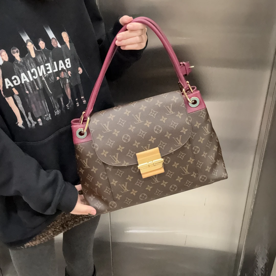 95新 LouisVuitton/路易威登  olympe老花单肩包大号