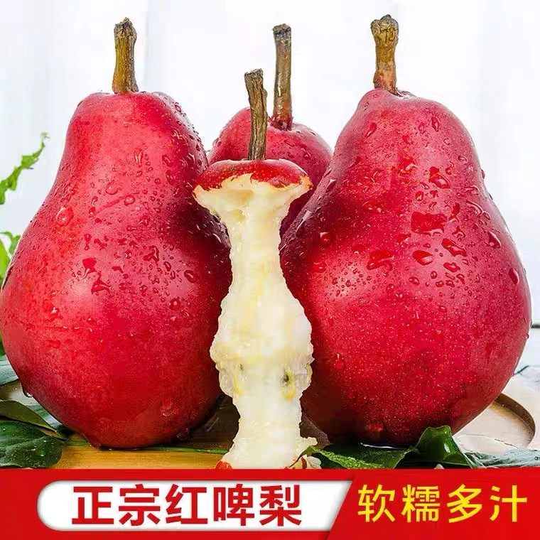 [放软吃]现摘红啤梨爆甜多汁5斤河南太婆梨孕妇冰激凌软梨