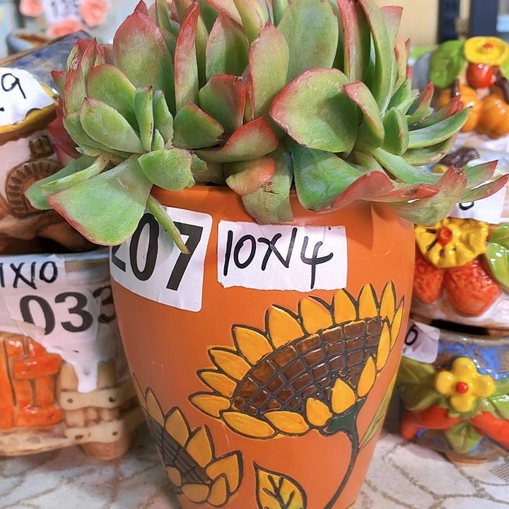 多肉花盆，满15包邮