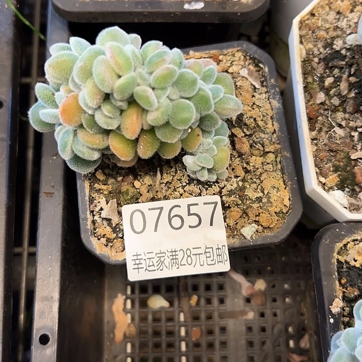 幸运的是我还没遇到过