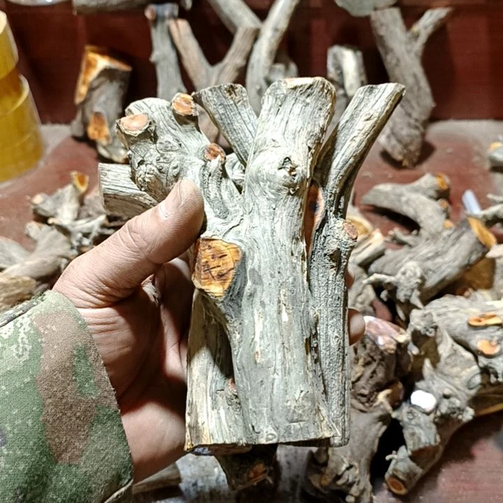 十***二香榧木崖柏原叉崖柏原叉崖柏原叉