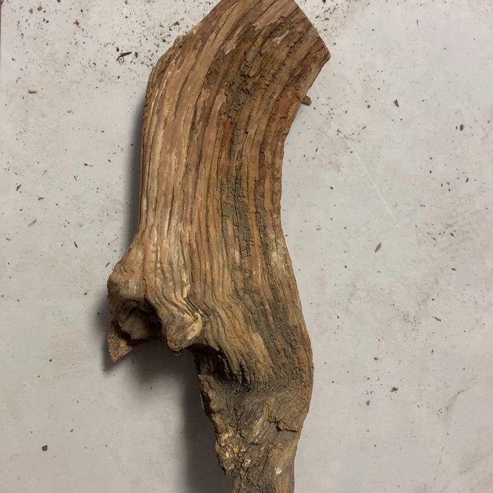 小***哥无花朵今天晚上在学校吃饭