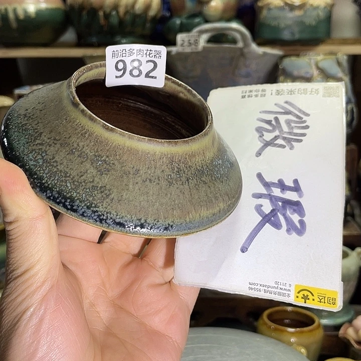 狼盆内口径6高度5